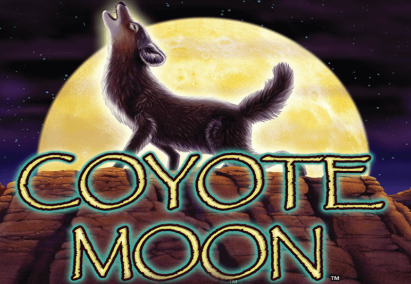 Coyote Moon Slot Review 1